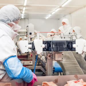 Lire la suite à propos de l’article Conducteur de ligne Charcuterie Industrielle H/F – CDI